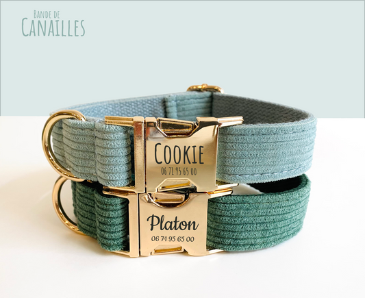 Pourquoi choisir un collier personnalisé pour son chien ?