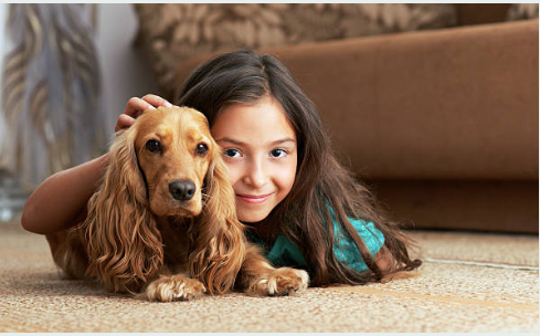 Quel chien adopter quand on a des enfants ?