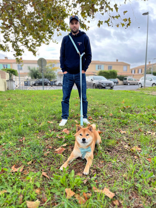 Guide Complet sur les Laisses pour Chiens : Comment Choisir la Meilleure Option pour Votre Chien
