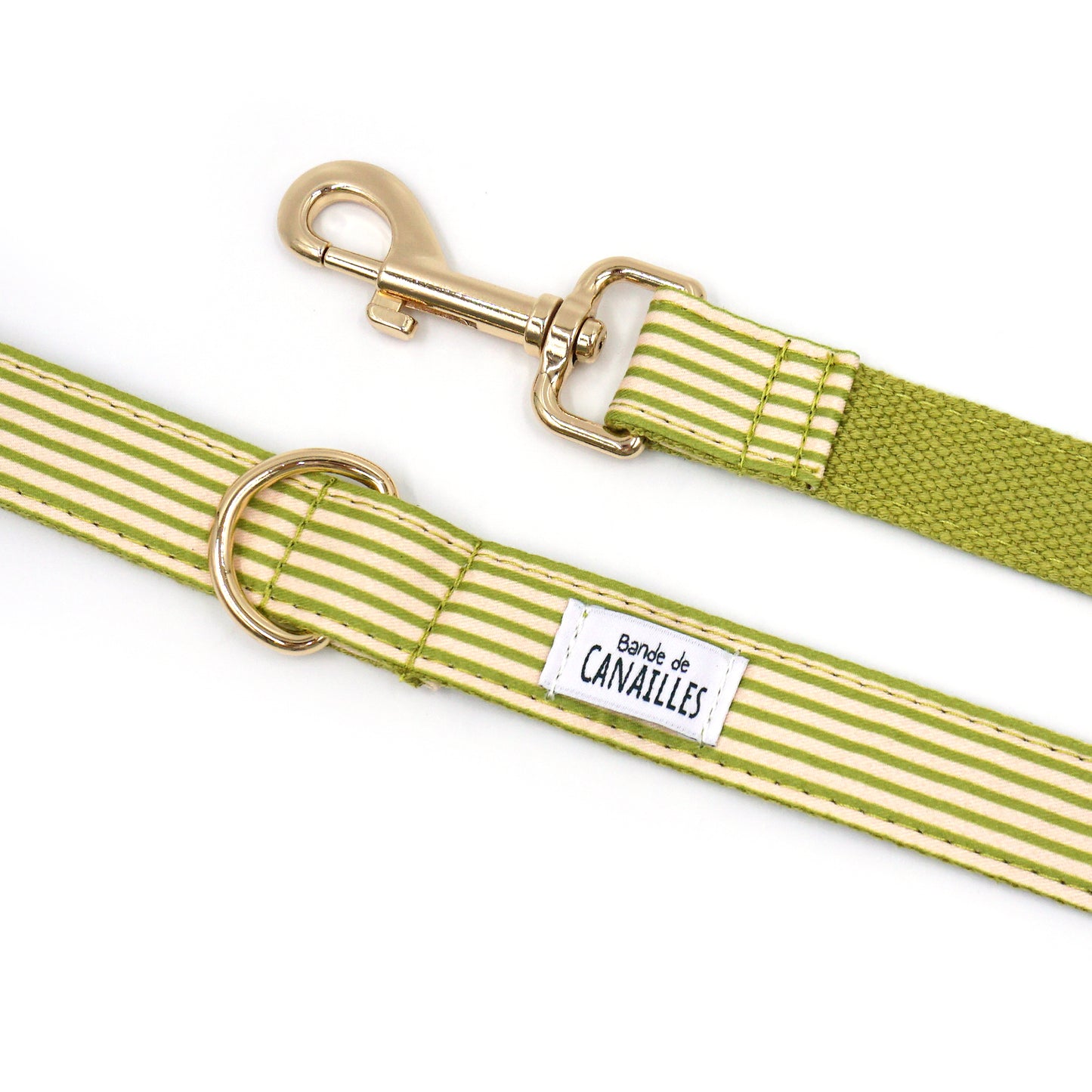 Laisse Chien Coton Vert Rayé