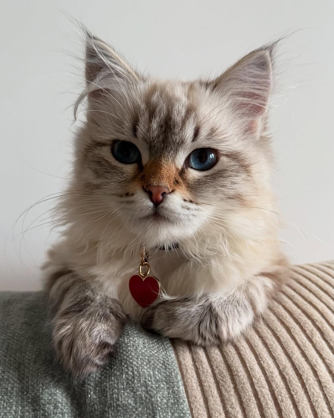 Médaille Coeur Personnalisable