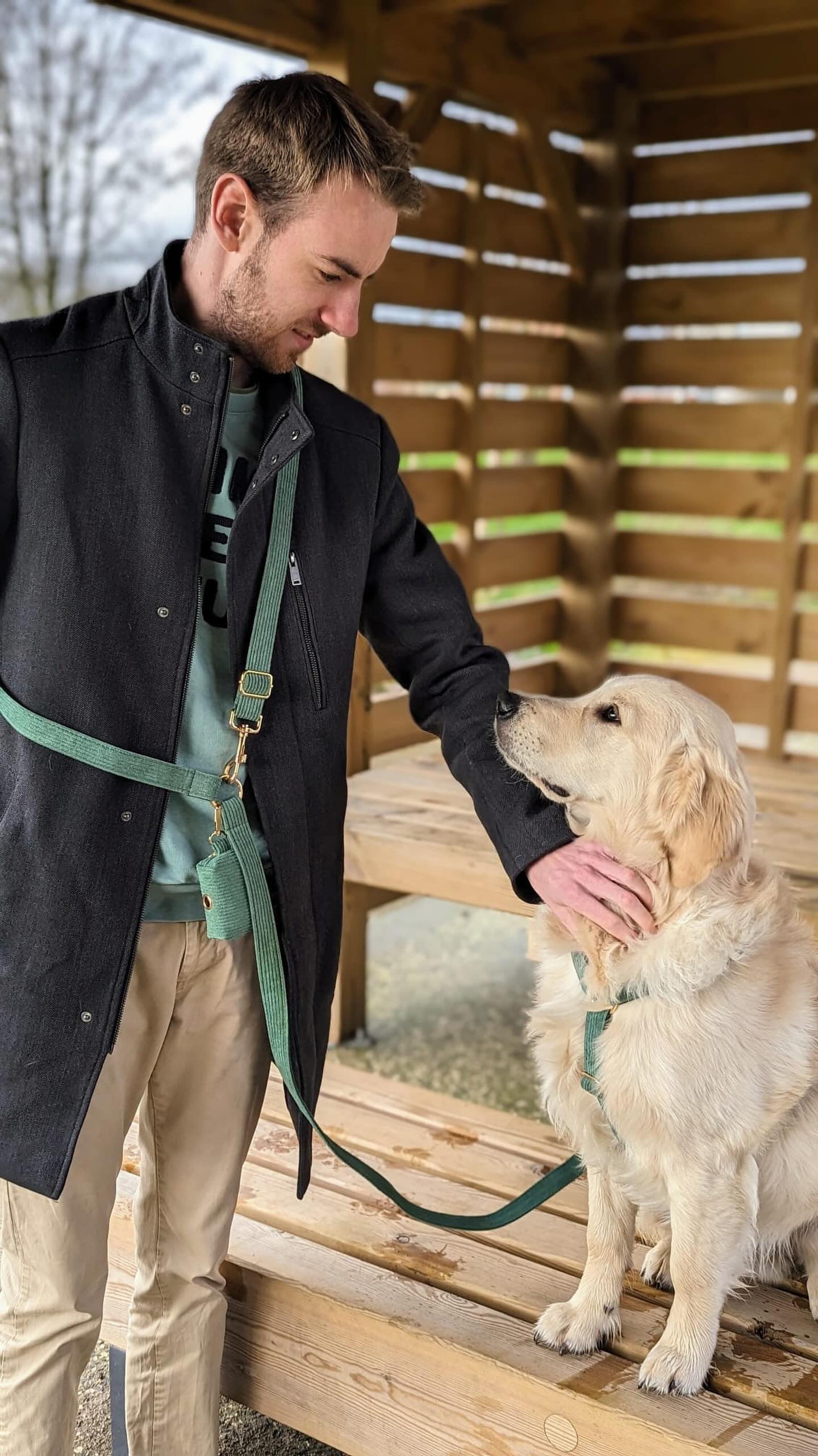 Homme souriant caressant un Golden Retriever assis sur un banc en bois, grand chien portant la laisse velours côtelé rose.