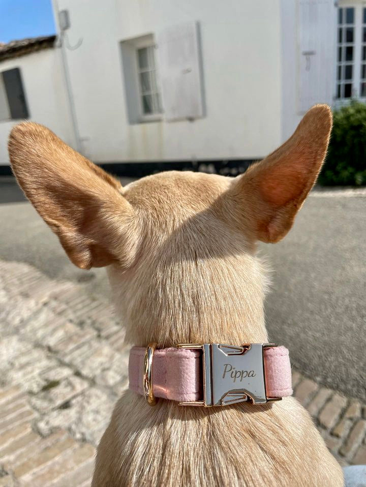 Collier Chien Personnalisé Velours Lisse Rose