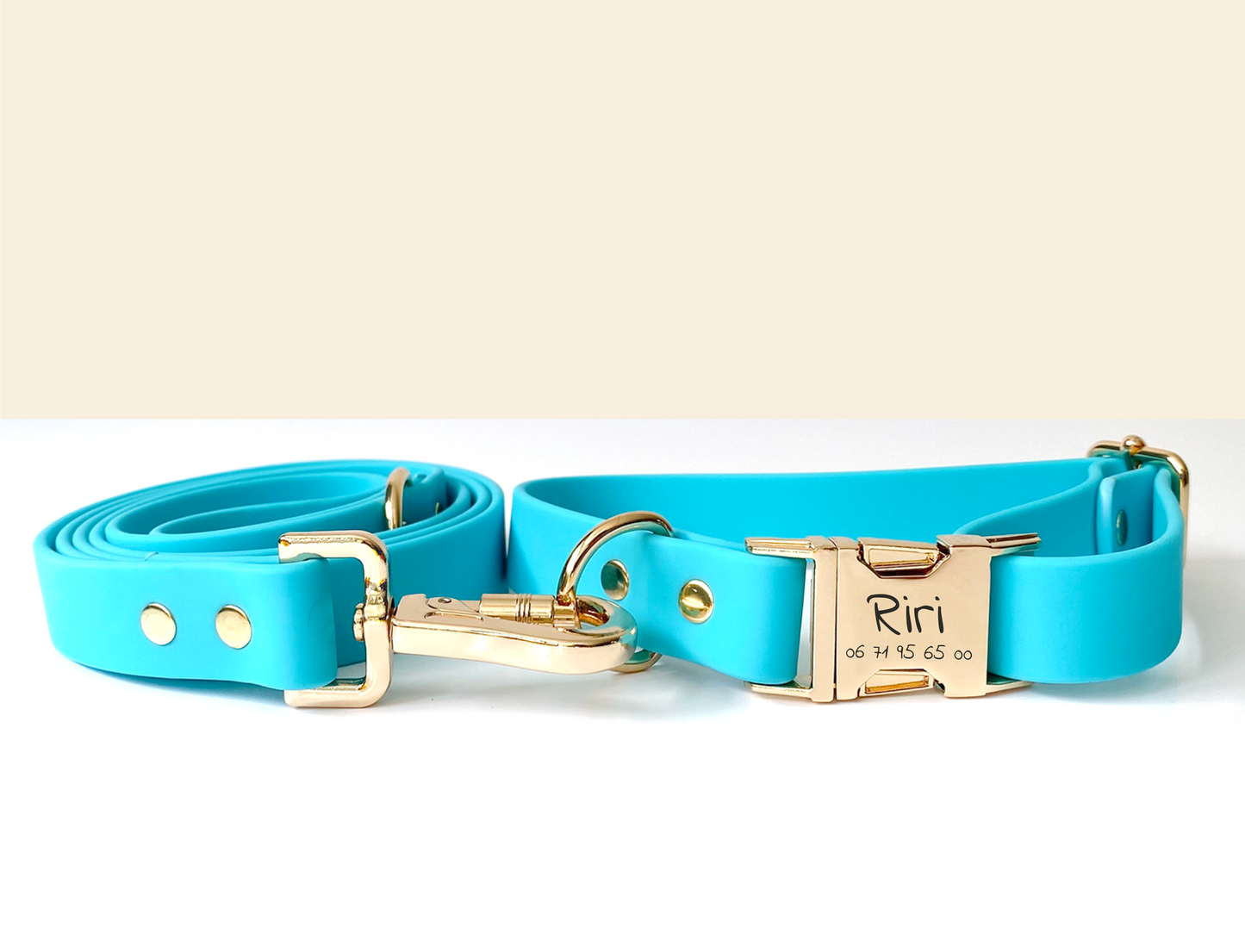 Laisse Chien Biothane Bleu