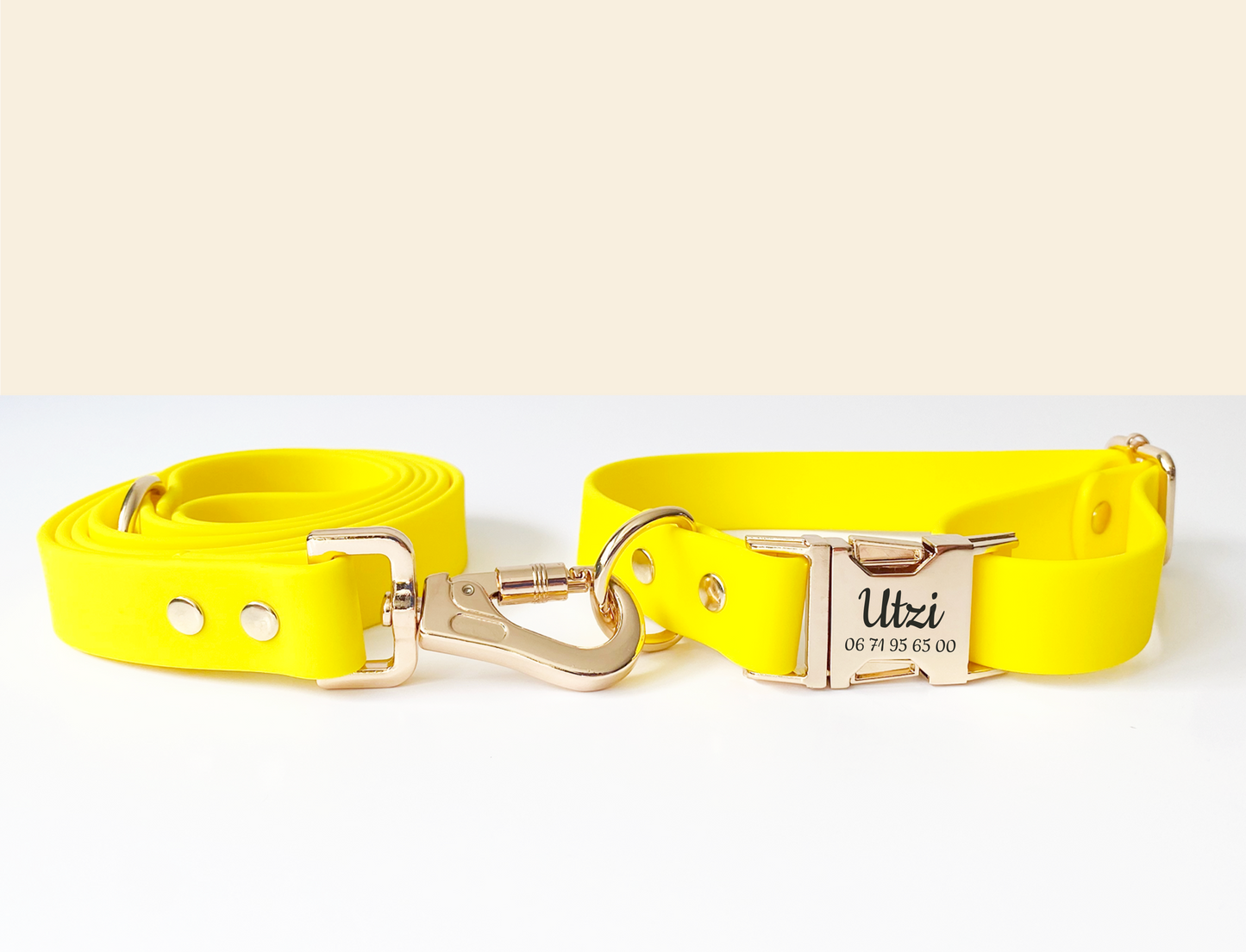 Laisse Chien Biothane Jaune