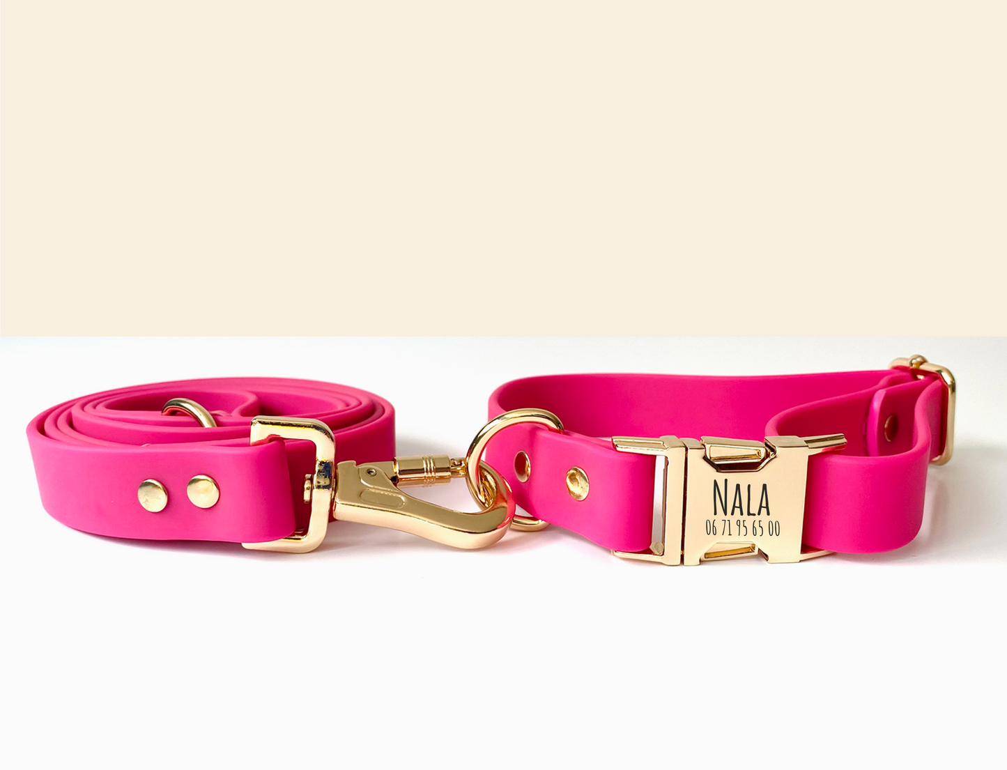 Kit Collier Harnais et Laisse Chien Personnalisé Biothane Rose