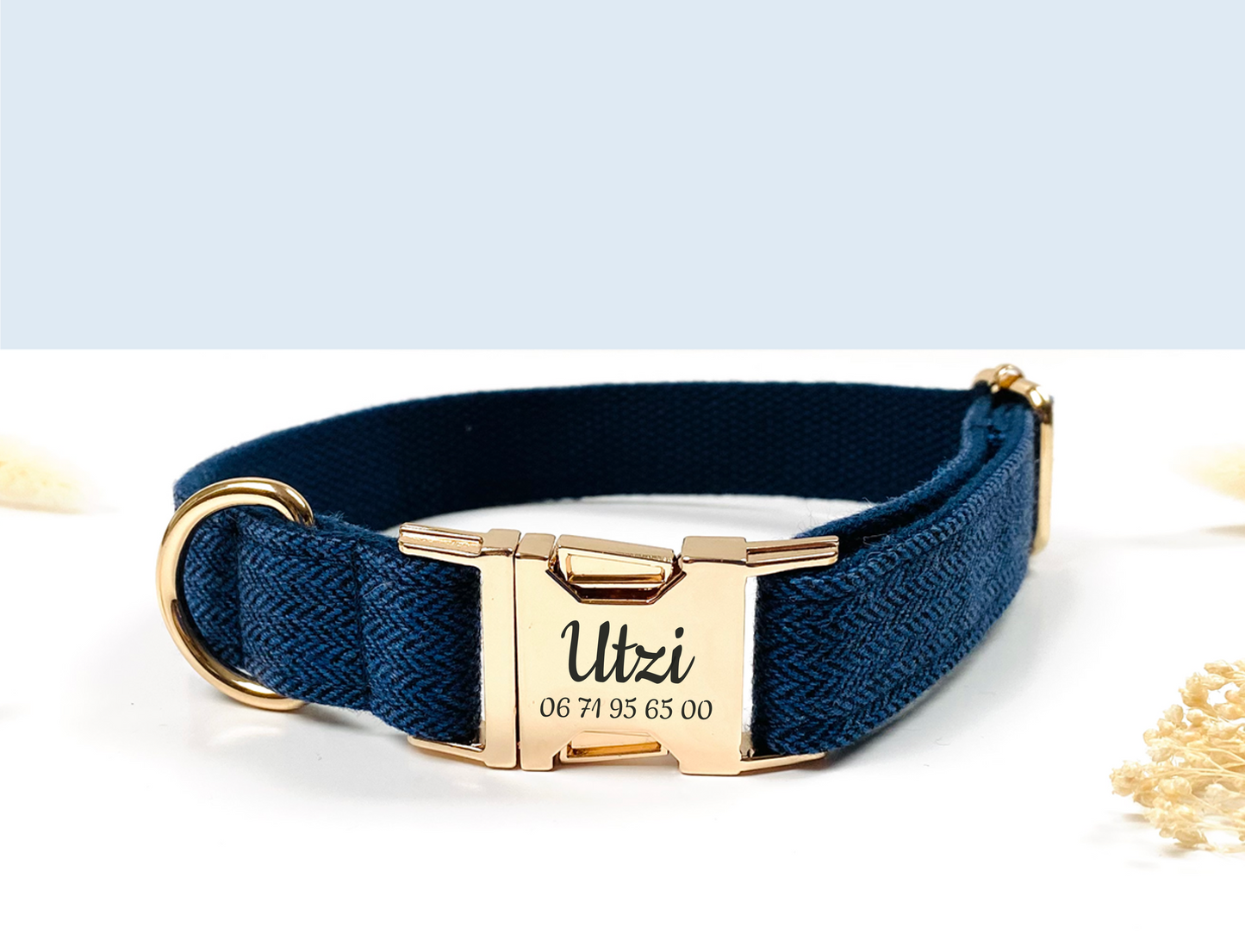 Collier Chien Personnalisé Chevron Marine