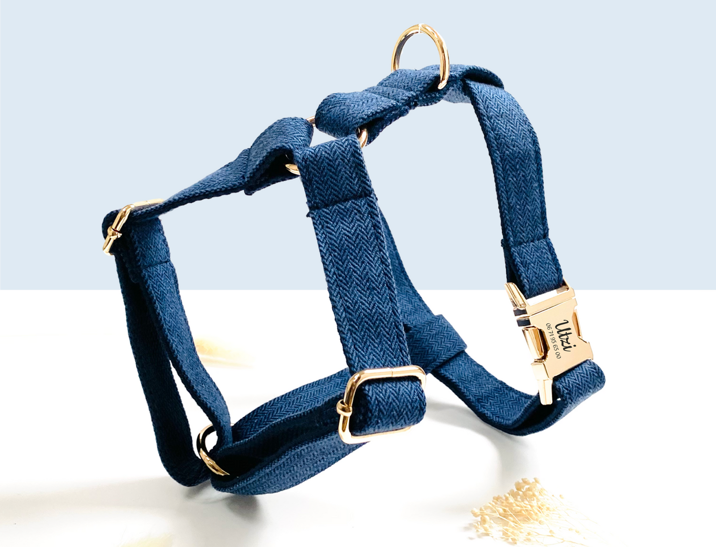 Harnais Chien Personnalisé Chevron Marine