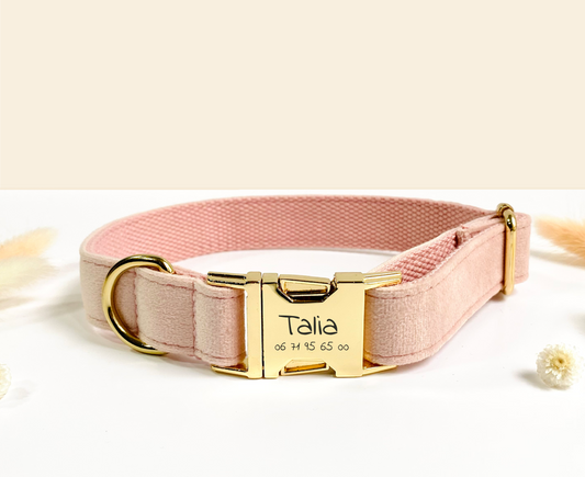 Collier Chien Personnalisé Velours Lisse Rose