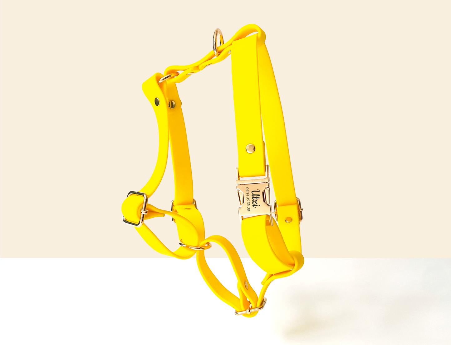 Kit Collier Harnais et Laisse Chien Personnalisé Biothane Jaune