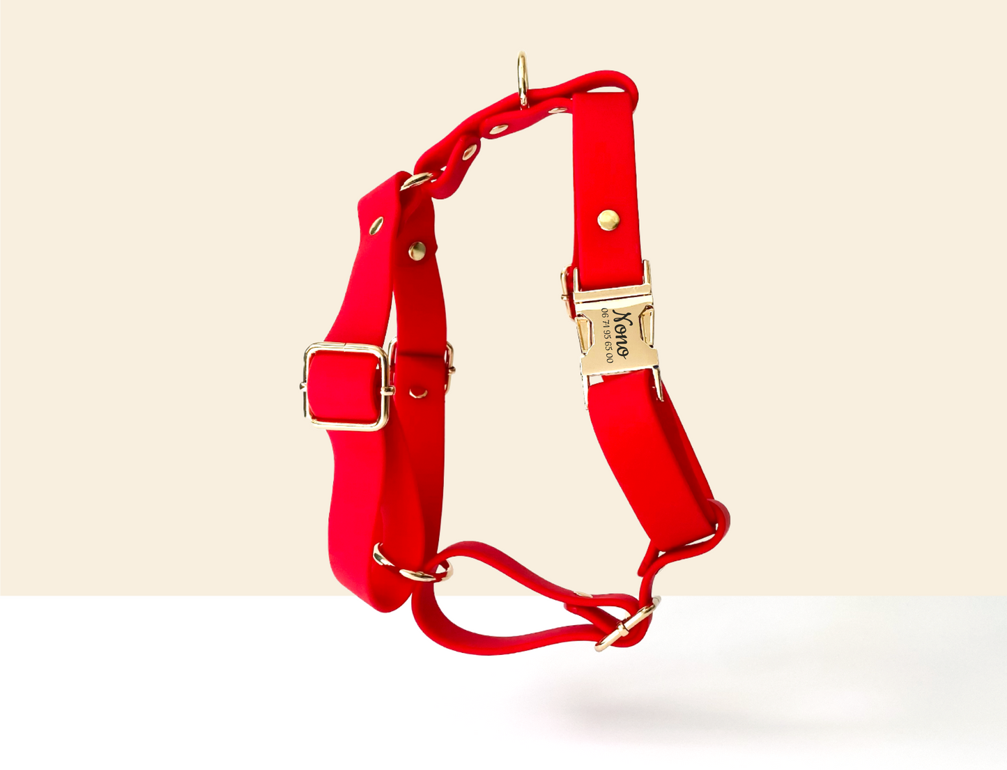 Kit Collier Harnais et Laisse Chien Personnalisé Biothane Rouge