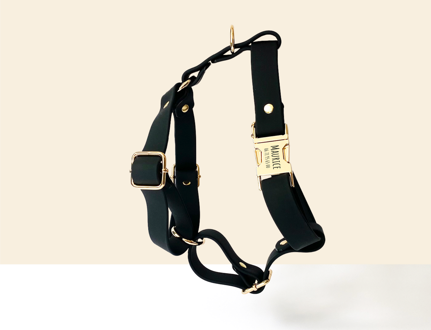 Kit Collier Harnais et Laisse Chien Personnalisé Biothane Noir