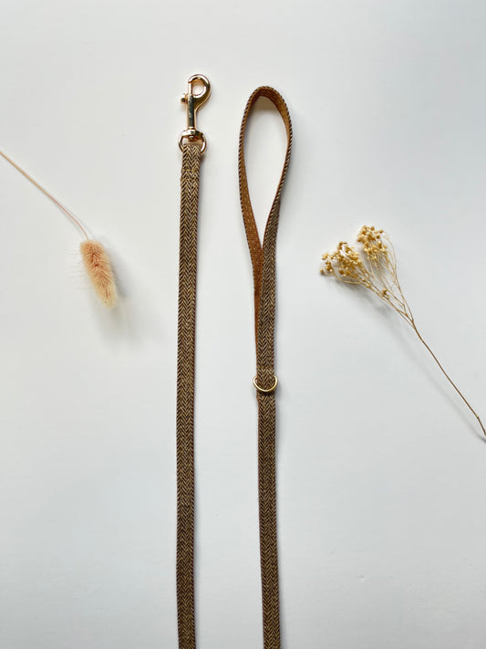 Laisse Chat et Chaton Chevron Noisette