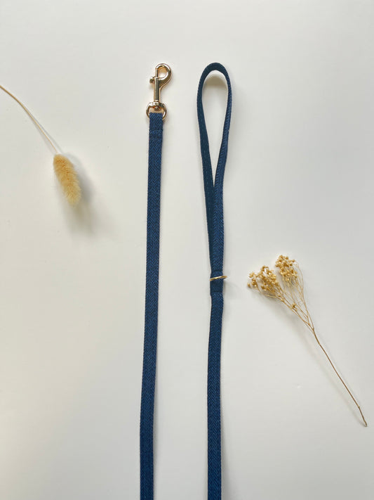 Laisse Chat et Chaton Chevron Marine