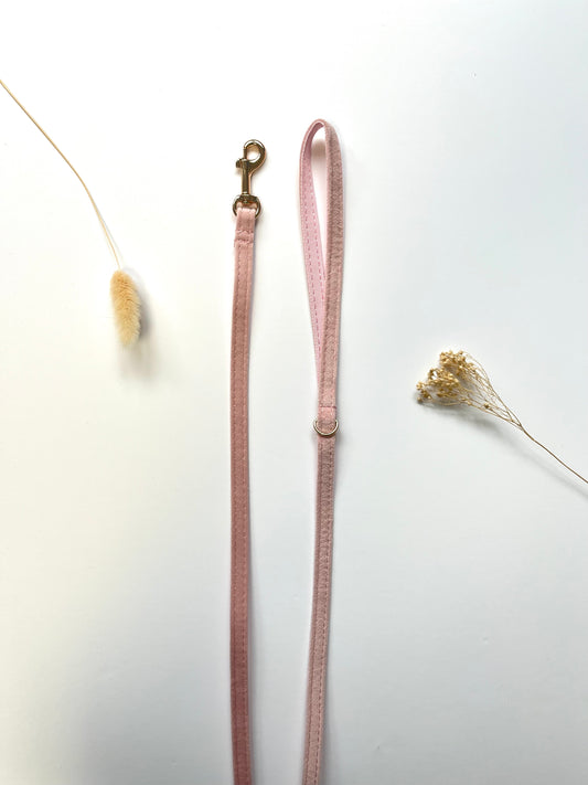 Laisse Chat et Chaton Velours Lisse Rose