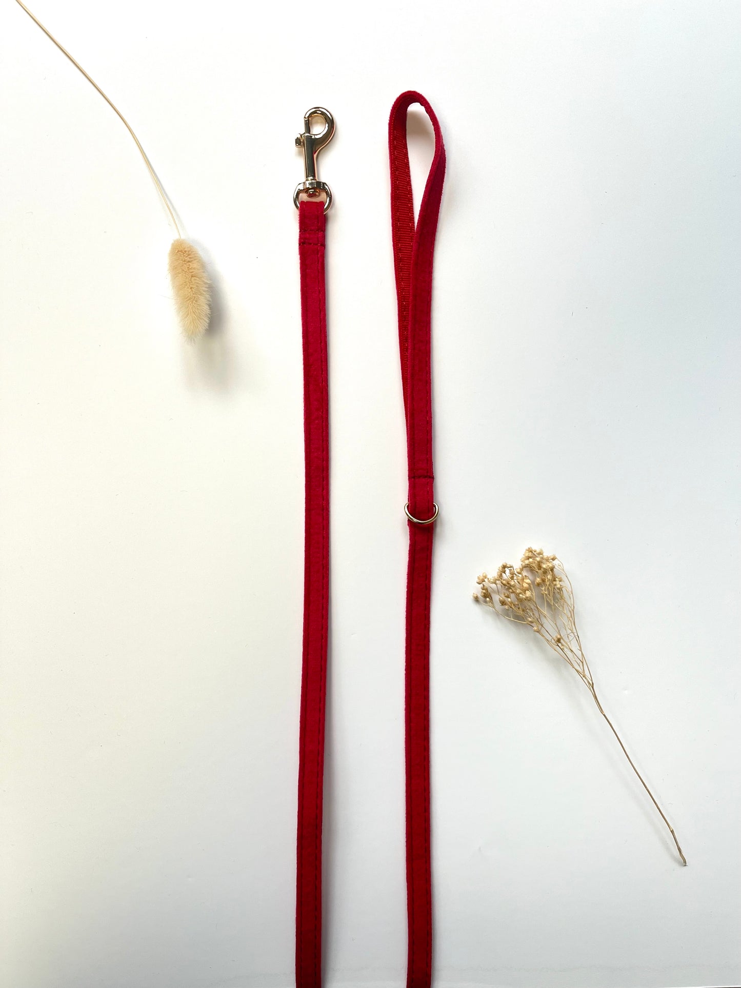 Laisse pour Chien Velours Lisse Rouge