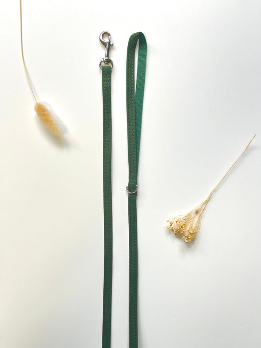 Laisse Chat et Chaton Coton Vert Sapin