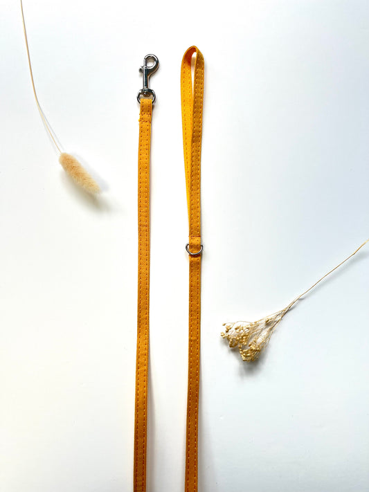 Laisse Chat et Chaton Coton Jaune