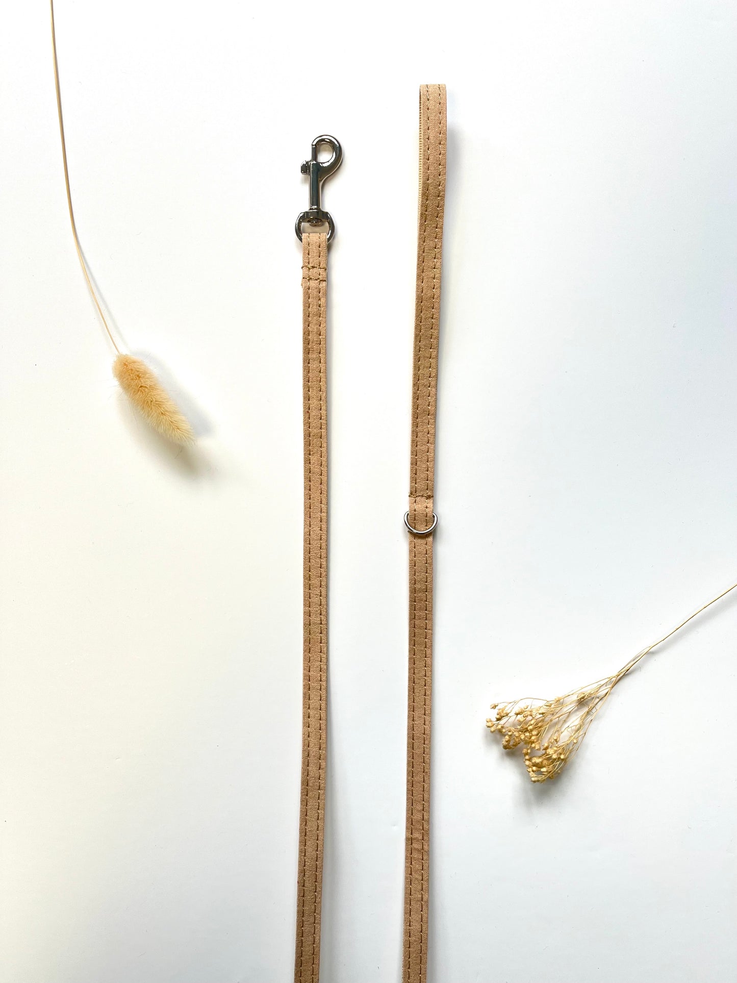 Laisse pour chien en coton beige avec agrafe et boucle métallique, posée sur fond blanc.