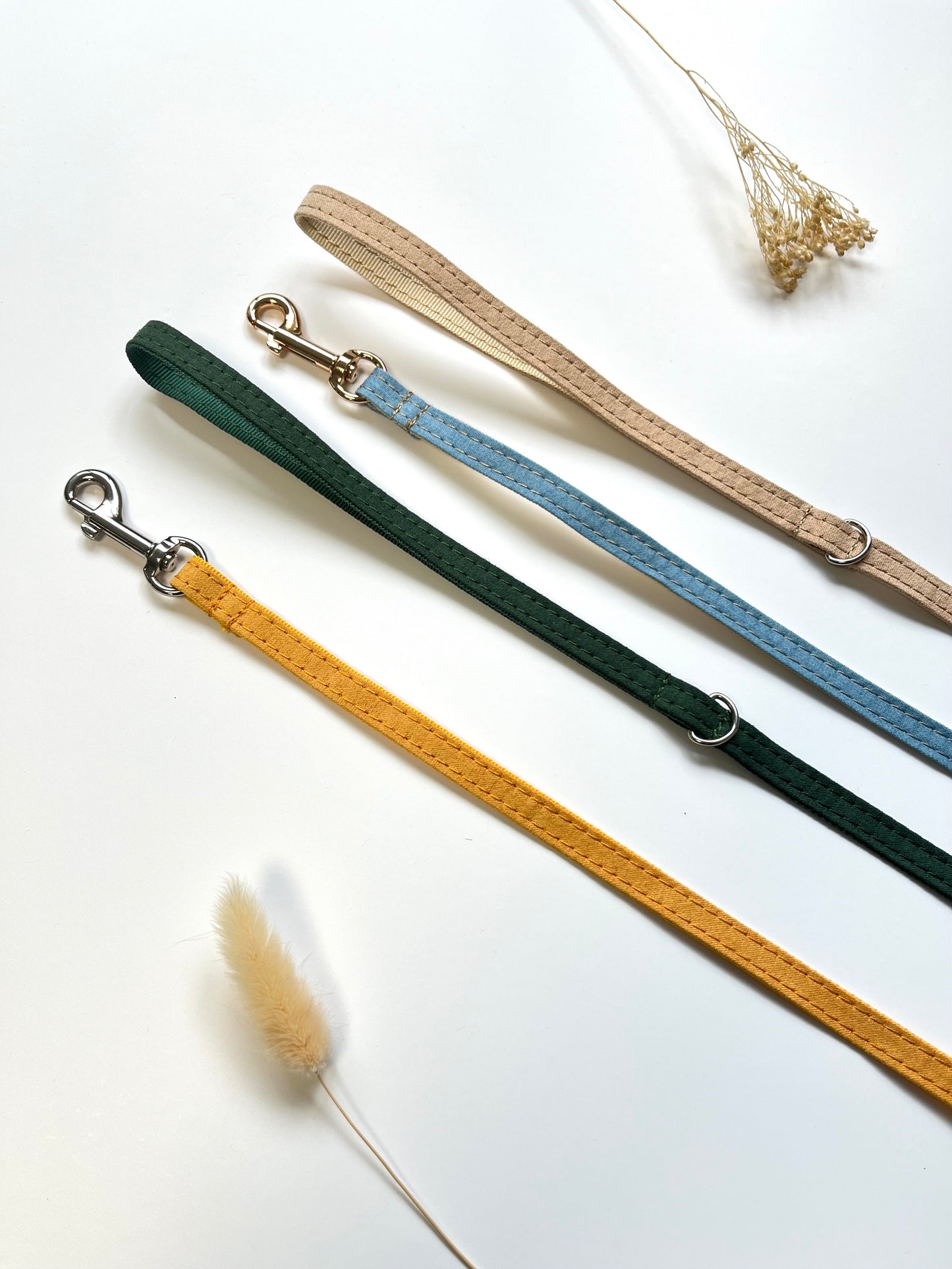 Laisse Chat et Chaton Coton Jaune