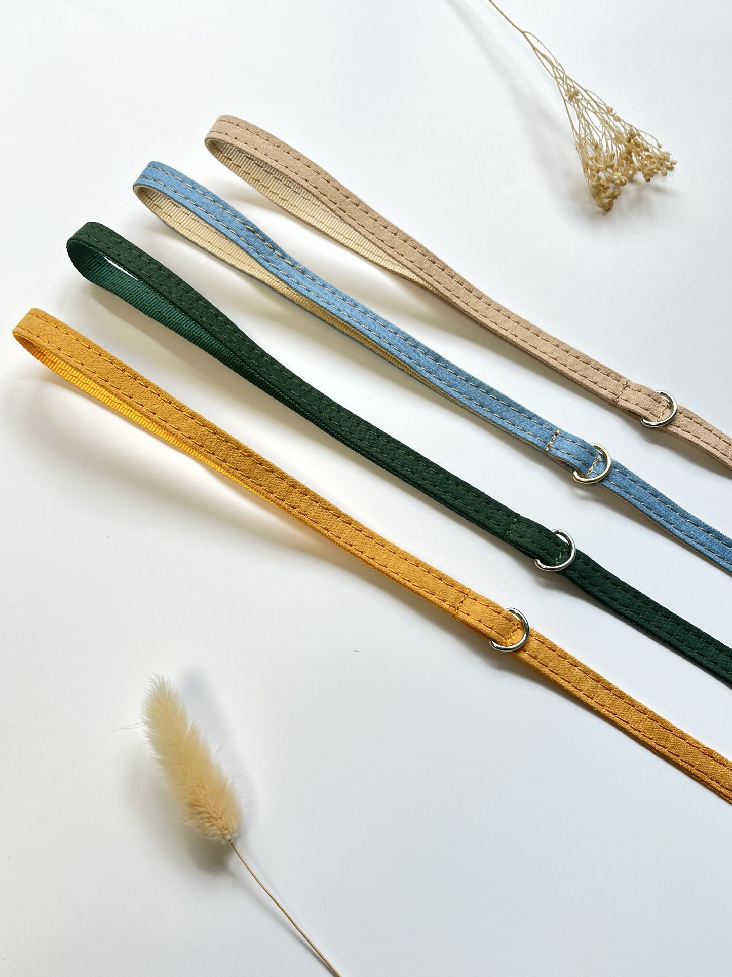 Laisse Chat et Chaton Coton Jaune