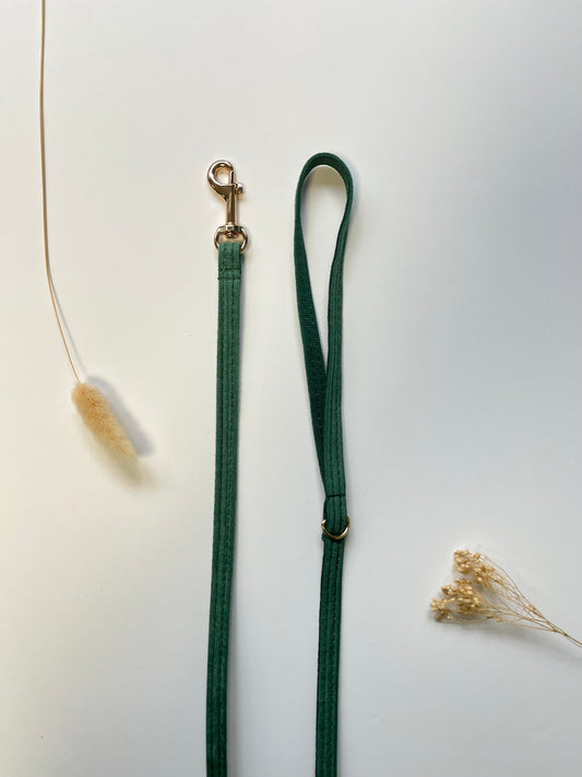 Laisse Chat et Chaton Velours Côtelé Vert