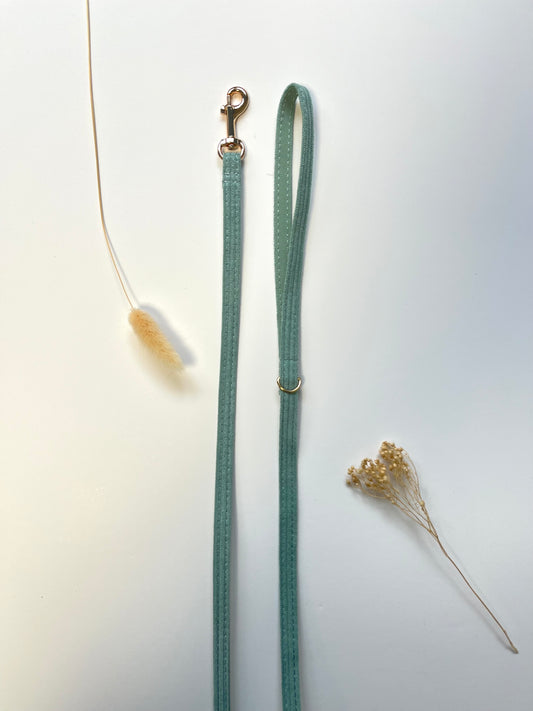 Laisse Chat et Chaton Velours Côtelé Bleu Ciel