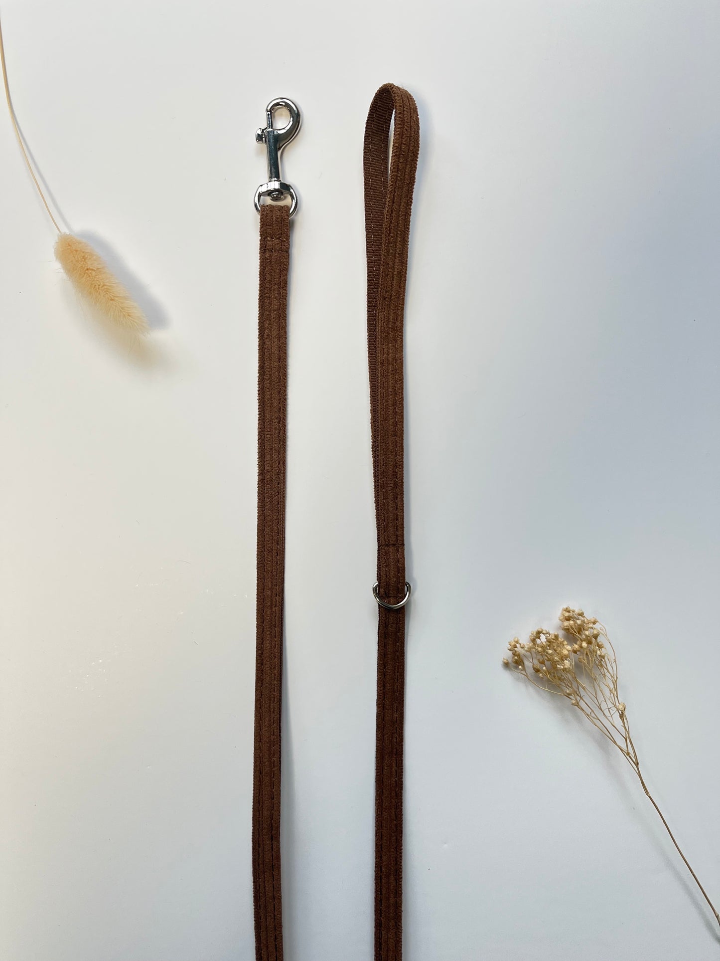 Laisse Chat et Chaton Velours Côtelé Chocolat