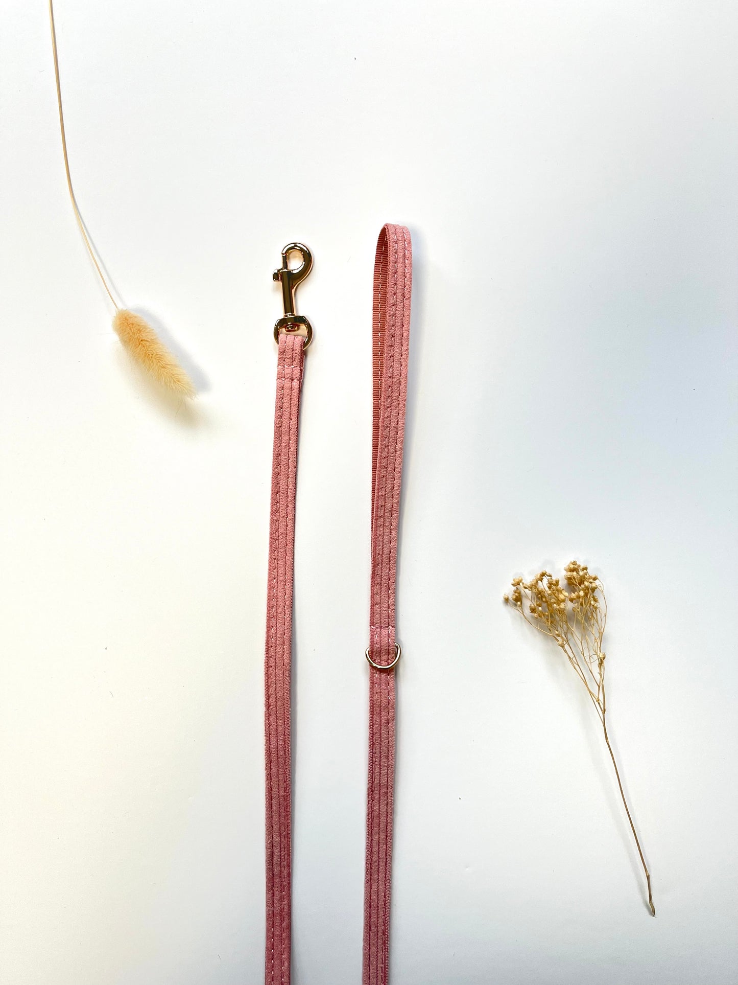 Laisse pour chien en velours côtelé rose pâle avec mousqueton doré et boucle, vue sur fond blanc.