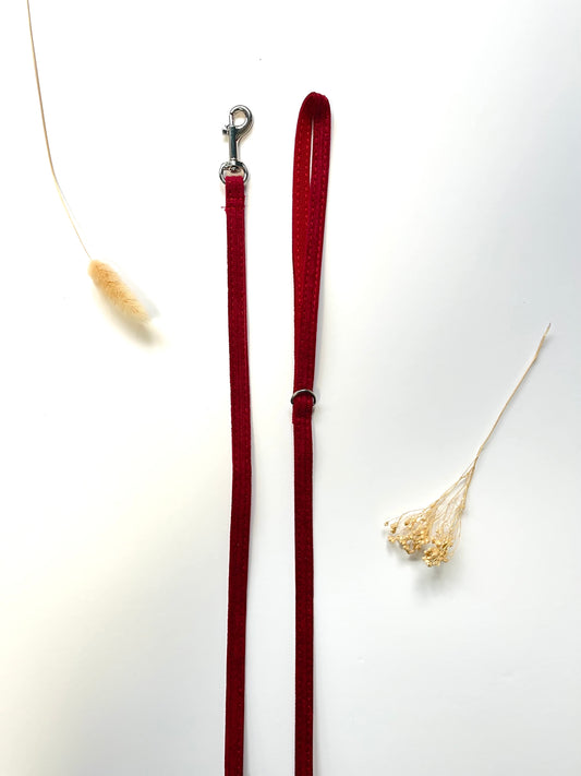 Laisse Chat et Chaton Velours Côtelé Bordeaux