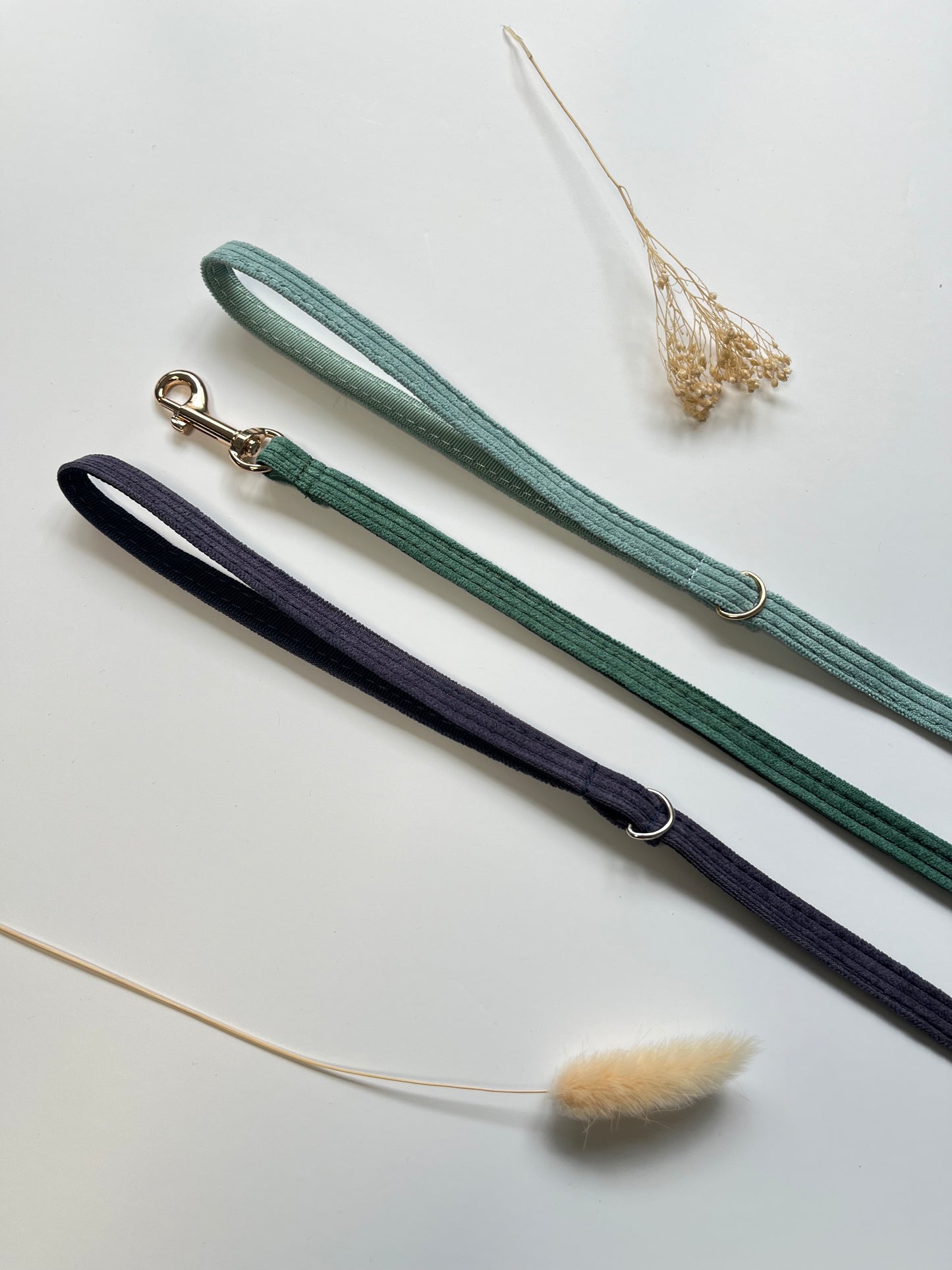 Laisse Chat et Chaton Velours Côtelé Bleu Ciel