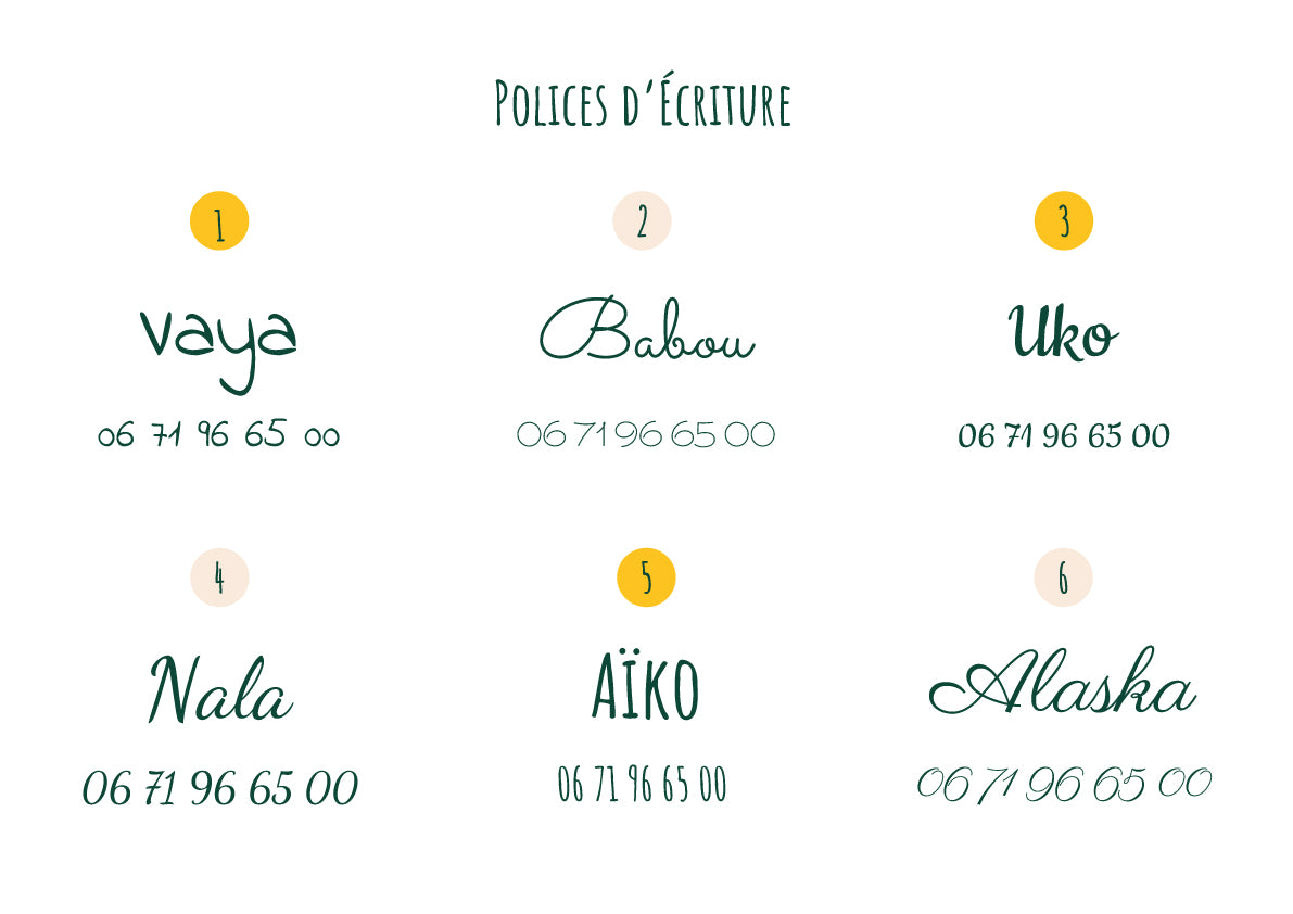 Collier Chien Personnalisé Biothane Noir