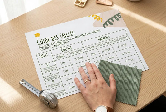Laisse pour chien en velours : guide d'achat velours côtelé