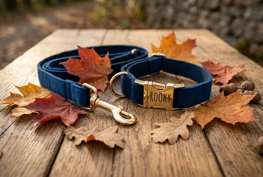 Collier chien personnalisé léopard : chic et unique
