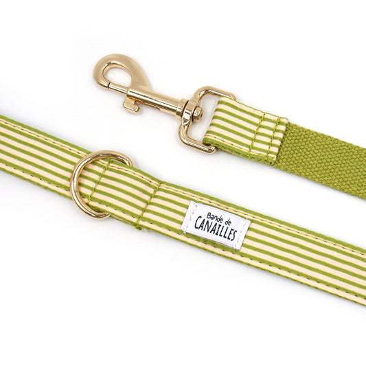 Laisse Chien Coton Vert Rayé