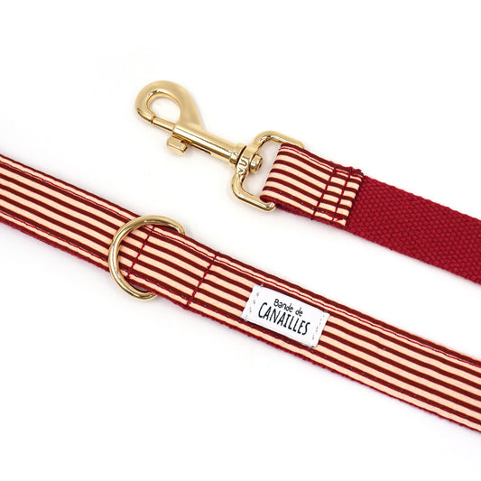 Laisse Chien Coton Bordeaux Rayé