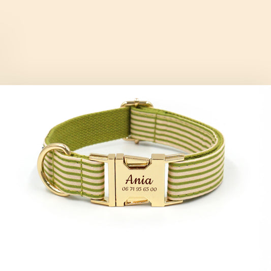 Collier Chien Personnalisé Coton rayé Vert