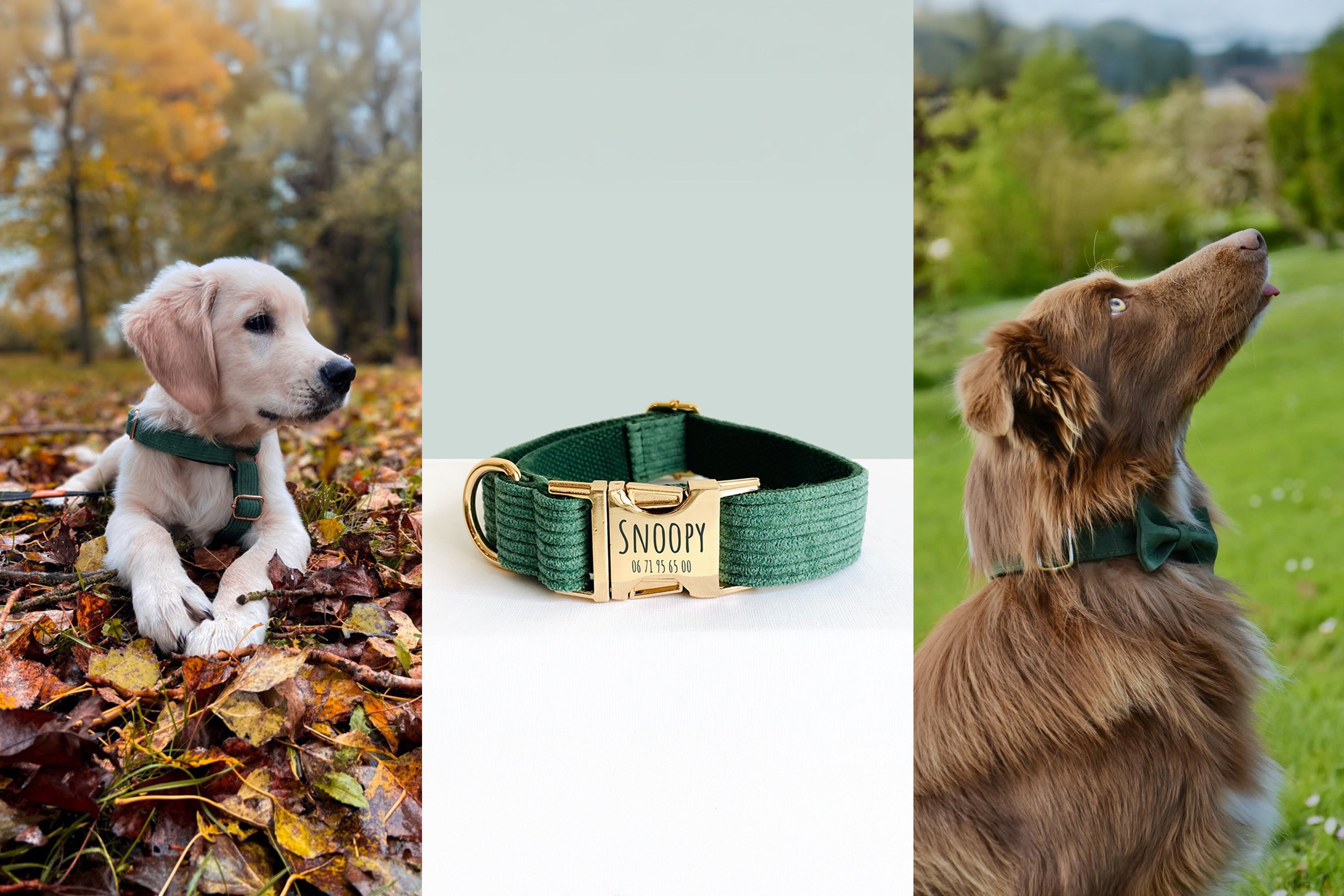 Bandeau à Oreilles Animaux - Chat, Loup, Renard - Réglable Avec Clochette - Cosplay & Fêtes