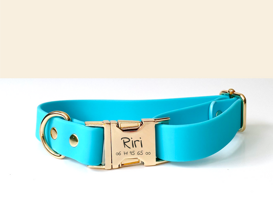 Collier Chien Personnalisé Biothane Bleu