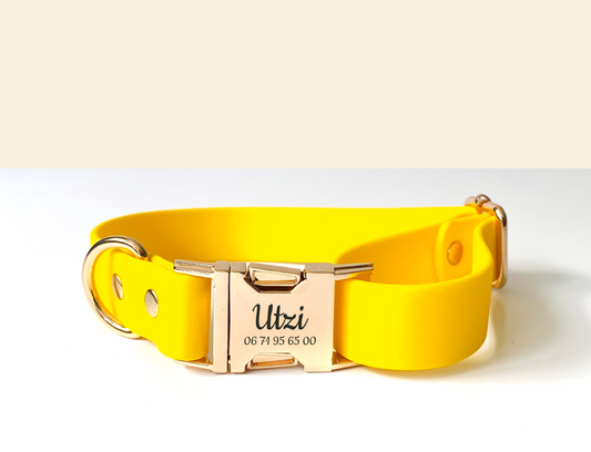 Collier Chien Personnalisé Biothane Jaune