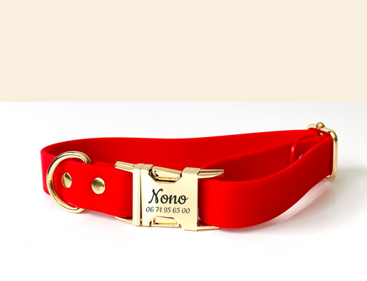 Collier Chien Personnalisé Biothane Rouge