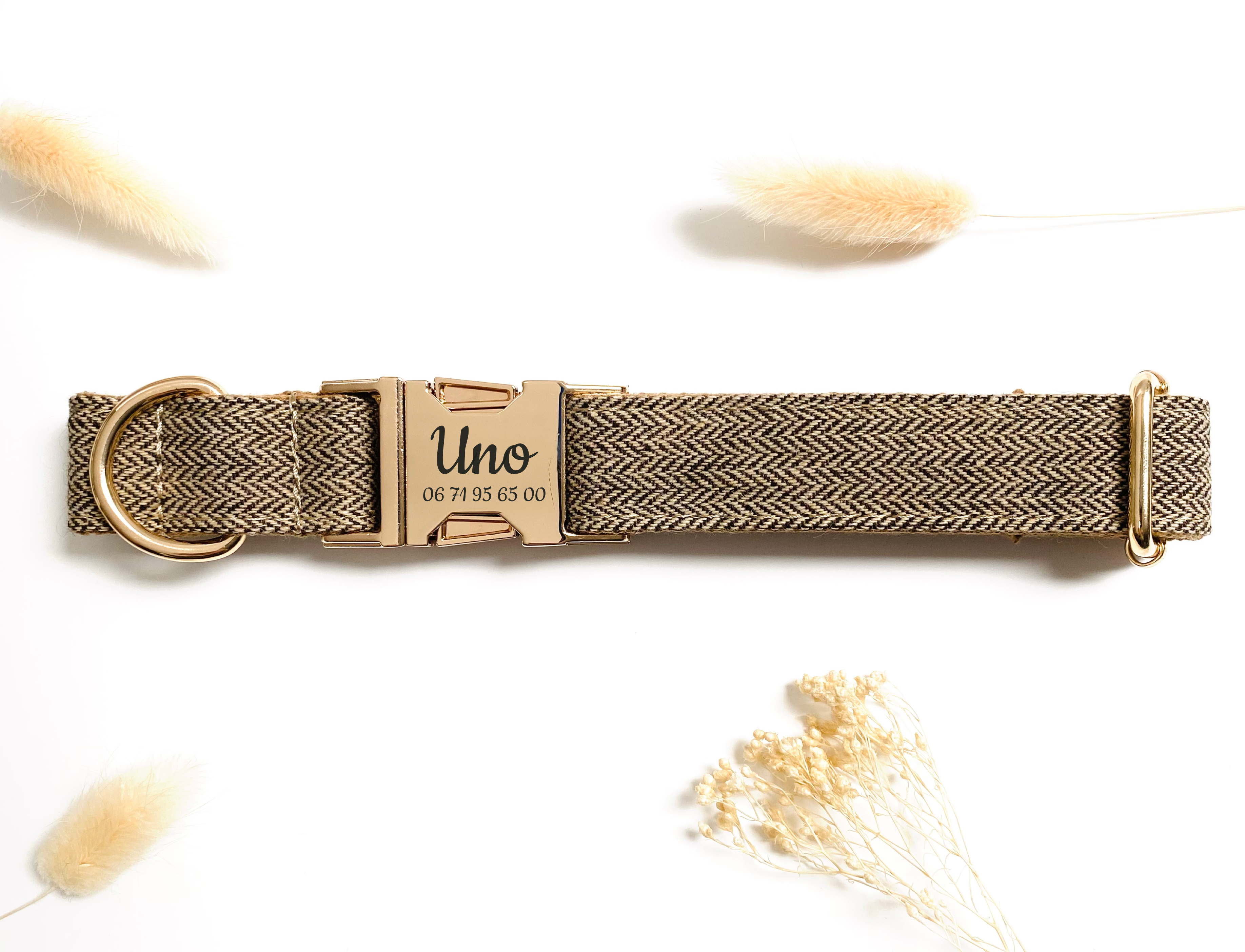 Collier Pour Chien Personnalisé Avec Nom Et Téléphone – Broderie Réfléchissante – 4 Tailles (S à XL) – 10 Couleurs – Nylon Résistant