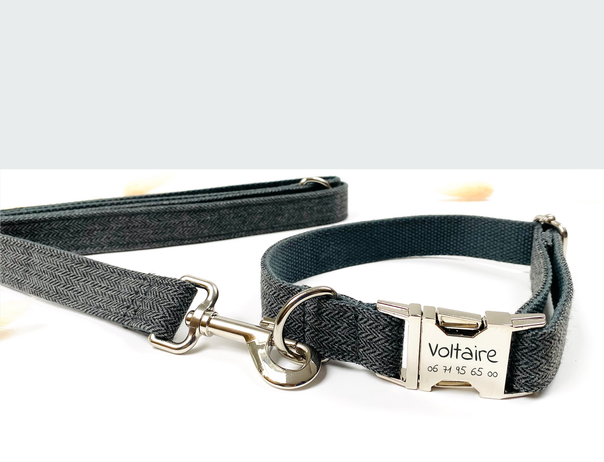 Laisse pour chien à motif chevron gris