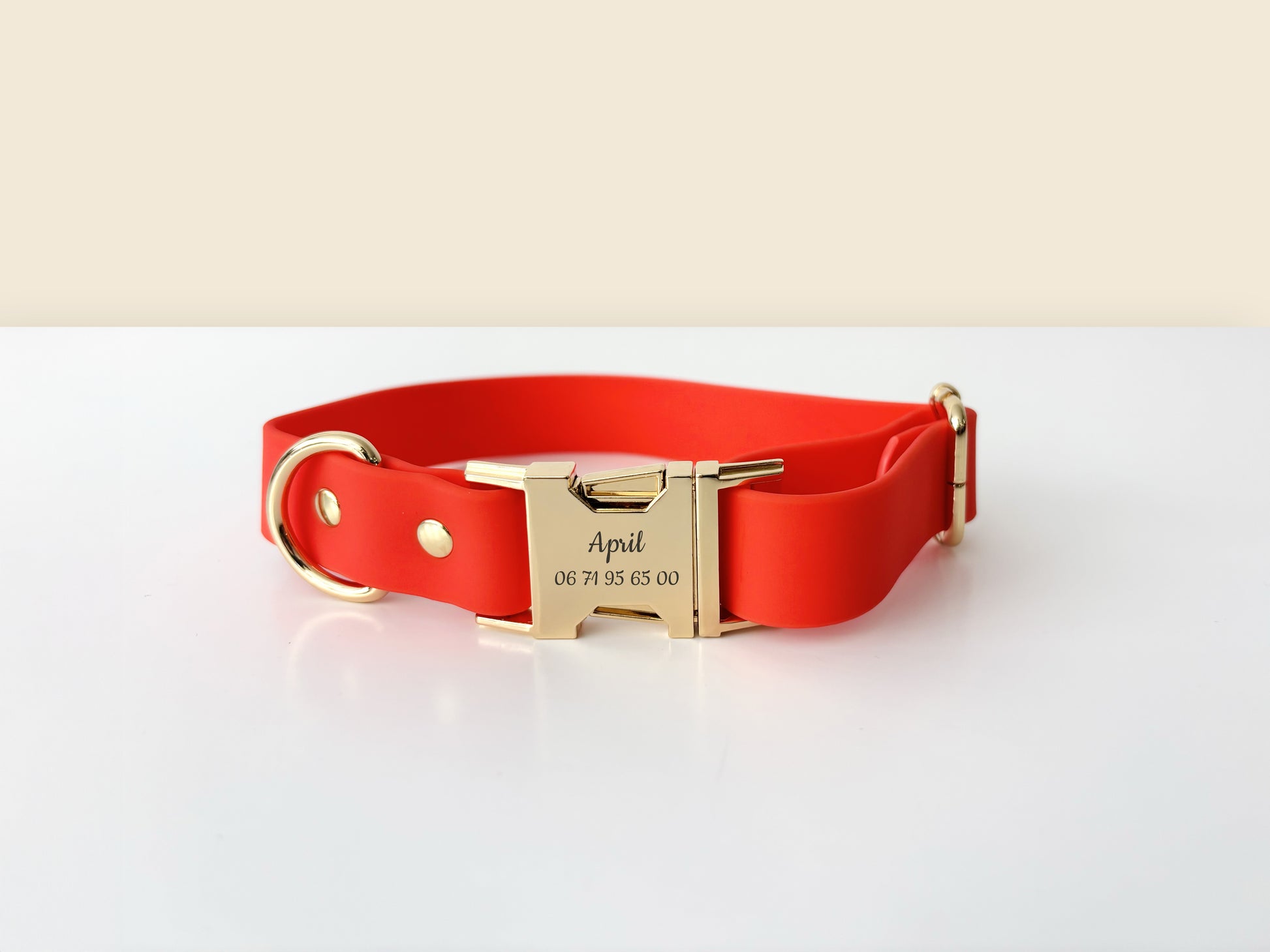 Collier chien personnalisé Biothane orange avec boucle dorée et gravure sur plaque centrale.