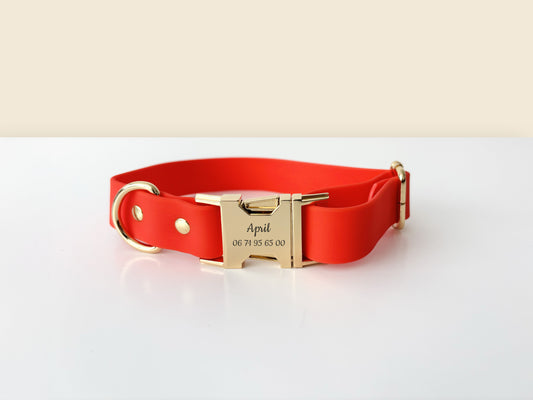 Collier chien personnalisé Biothane orange avec boucle dorée et gravure sur plaque centrale.