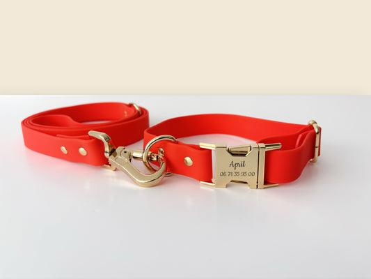 Kit collier harnais et laisse pour chien en Biothane orange avec boucle personnalisée gravée et mousqueton doré.