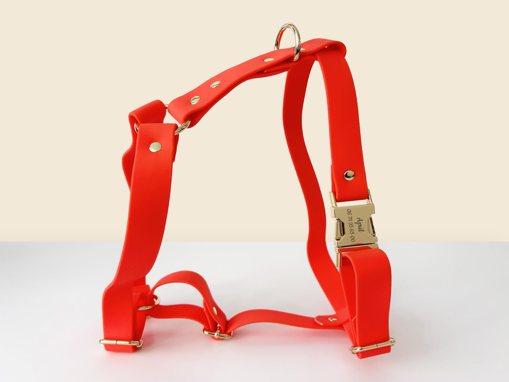 Harnais chien personnalisé Biothane orange avec boucle dorée et anneaux, posé sur une surface claire.