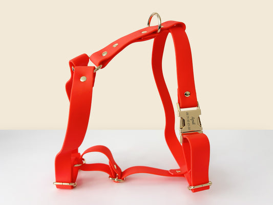 Harnais chien personnalisé Biothane orange avec boucle dorée et anneaux, posé sur une surface claire.