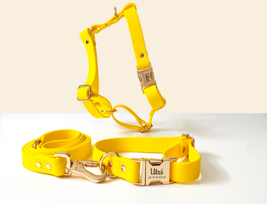 Kit Collier Harnais et Laisse Chien Personnalisé Biothane Jaune