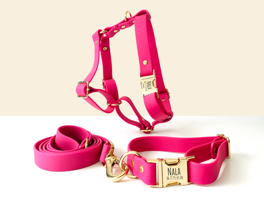 Kit Collier Harnais et Laisse Chien Personnalisé Biothane Rose